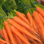 морковь витамин А